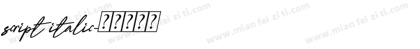 script italic字体转换